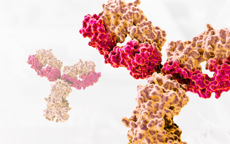 Facilitating Bispecific Antibody Drug Development through Quality Control